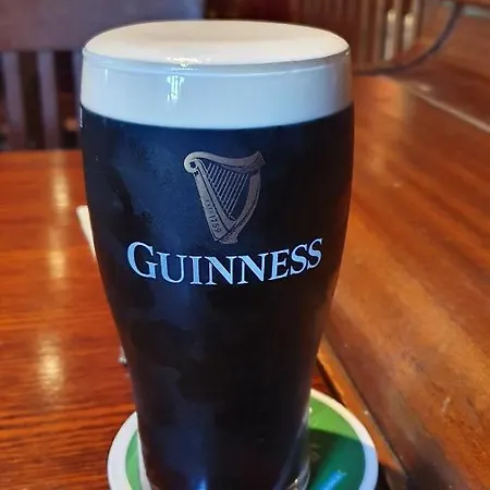 Hotell The Merry Monk Ballina (Mayo)