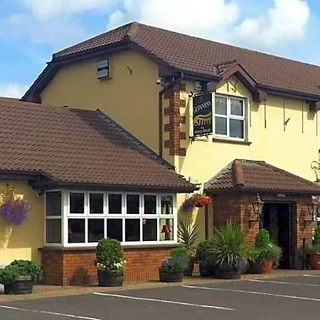 The Merry Monk * Ballina (Mayo)